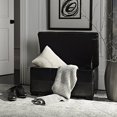 thumbnail image 2 of Safavieh Lucas Banc de Rangement en Cuir Bicasté en Noir, 2 of 5