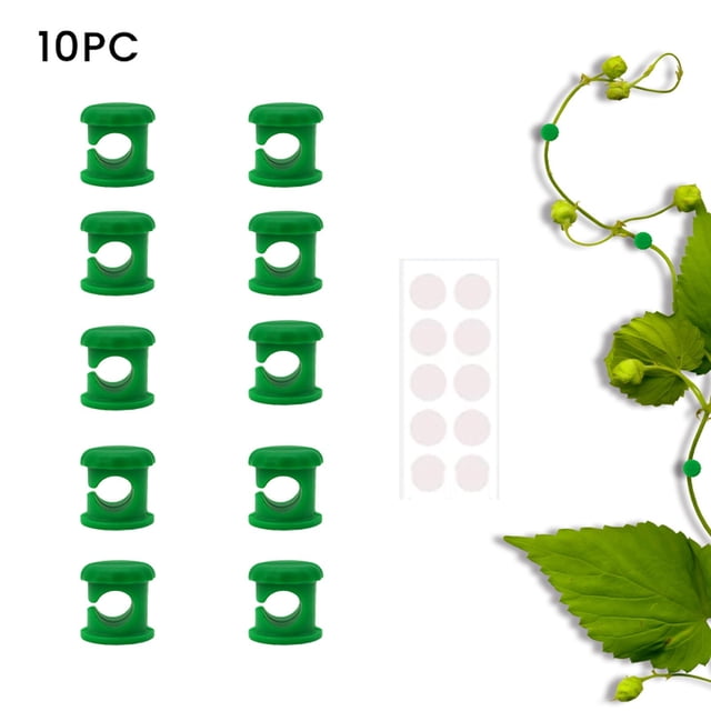 5/10/15/20 piezas de clips para plantas trepadoras, para uso en jardines interiores y exteriores. Clips de fijación sin perforaciones. Abrazadera para plantas.