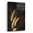 thumbnail image 2 of Epic Art 'Golden Grass III' by Lori Deiter Acrylic Glass Wall Art, 12"x16", 2 of 8