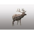 thumbnail image 2 of Haase, Andrea 18x15 White Modern Wood Framed Museum Art Print Titled - Nordic Deer, 2 of 4