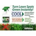 thumbnail image 2 of Endurant Green Again Pro Grass Paint Warm 16 oz, 2 of 5