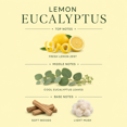 thumbnail image 3 of Lemon Eucalyptus Reed Diffuser, 3 of 4