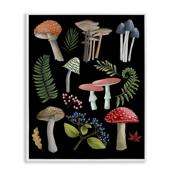Stupell Industries Bohemian Woodland Botanicals on Black White Framed Giclee Art, 24 x 30, by Regina Moore