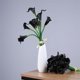 thumbnail image 1 of Homoyoyo 10Ud Calla Lily Falsa Para Decorar Y Fiestas Con Tacto Real, 1 of 8
