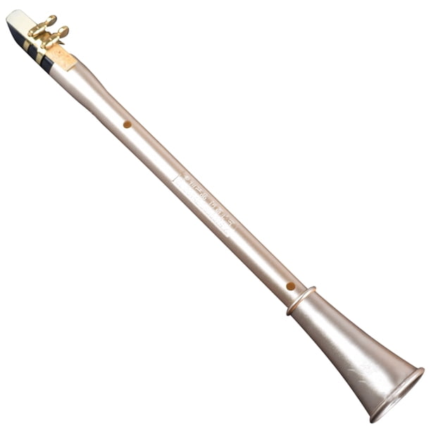 Saxofón de clarinete de bolsillo Mini saxofón de clarinete portátil Pequeño saxofón con transporte