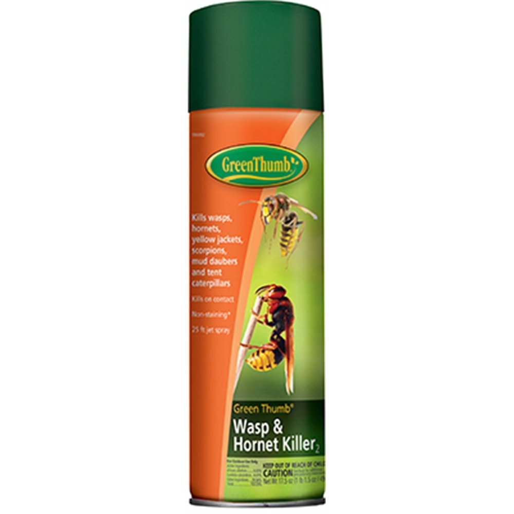 GT 17.5OZ Wasp Spray
