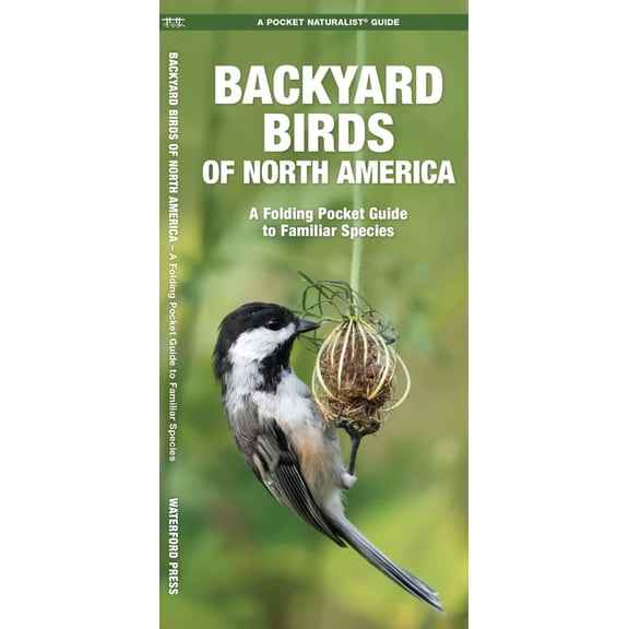 Nature Observation North America Backyard Birds of North America, (Paperback)