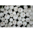thumbnail image 4 of Sweet White Spanish Onion Seeds/Annual/Full Fun/1775 Seeds 1/4 oz/ Zellajake Farm and Garden - B106, 4 of 4