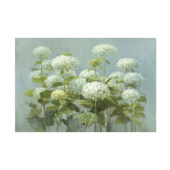 Trademark Fine Art 'White Hydrangea Garden' Canvas Art by Danhui Nai