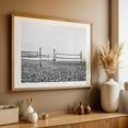thumbnail image 4 of Net Serenity - Dana Point California Photography Oak Framed Wall Art Print 20 x 30 inches, 4 of 6