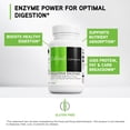thumbnail image 3 of DaVinci Labs All-Zyme - Support Digestive Health & Nutrient Absorption - 90 Tablets, 3 of 7