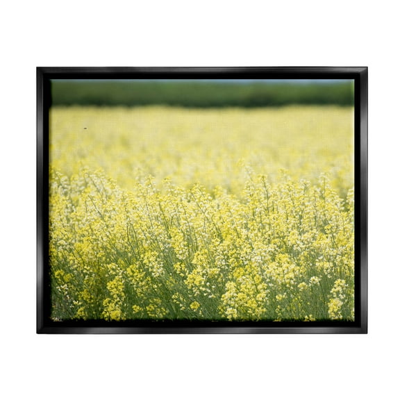 Stupell Industries Bright Country Meadow Wildflowers Photograph Jet Black Floating Framed Canvas Print Wall Art, Design by Nancy Crowell