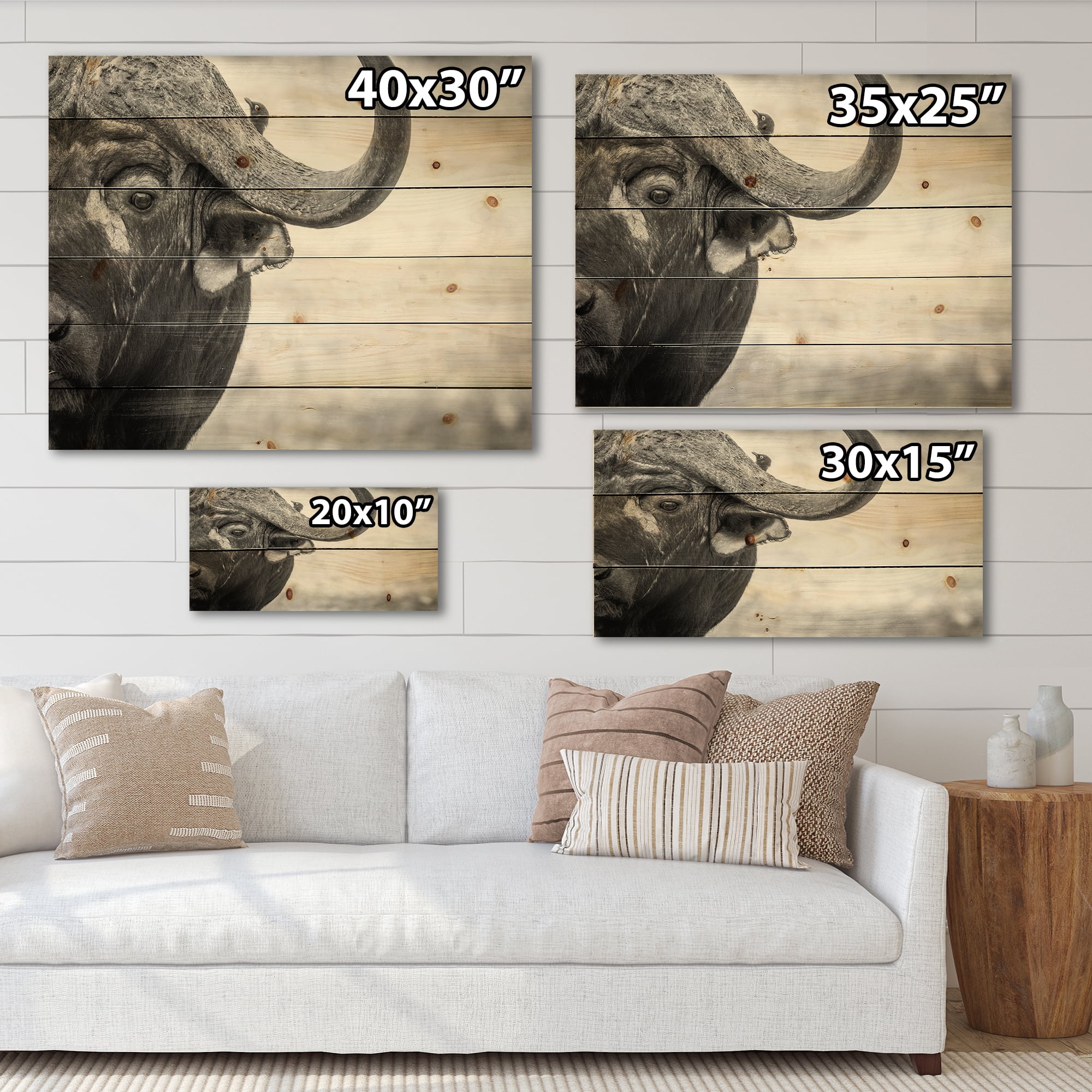Designart 'Black and White Portrait Of Buffalo III' Farmhouse Print on Natural Pine Wood