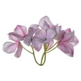 thumbnail image 2 of 20" Real Touch Lt Pink Hydrangea Wreath, 2 of 2
