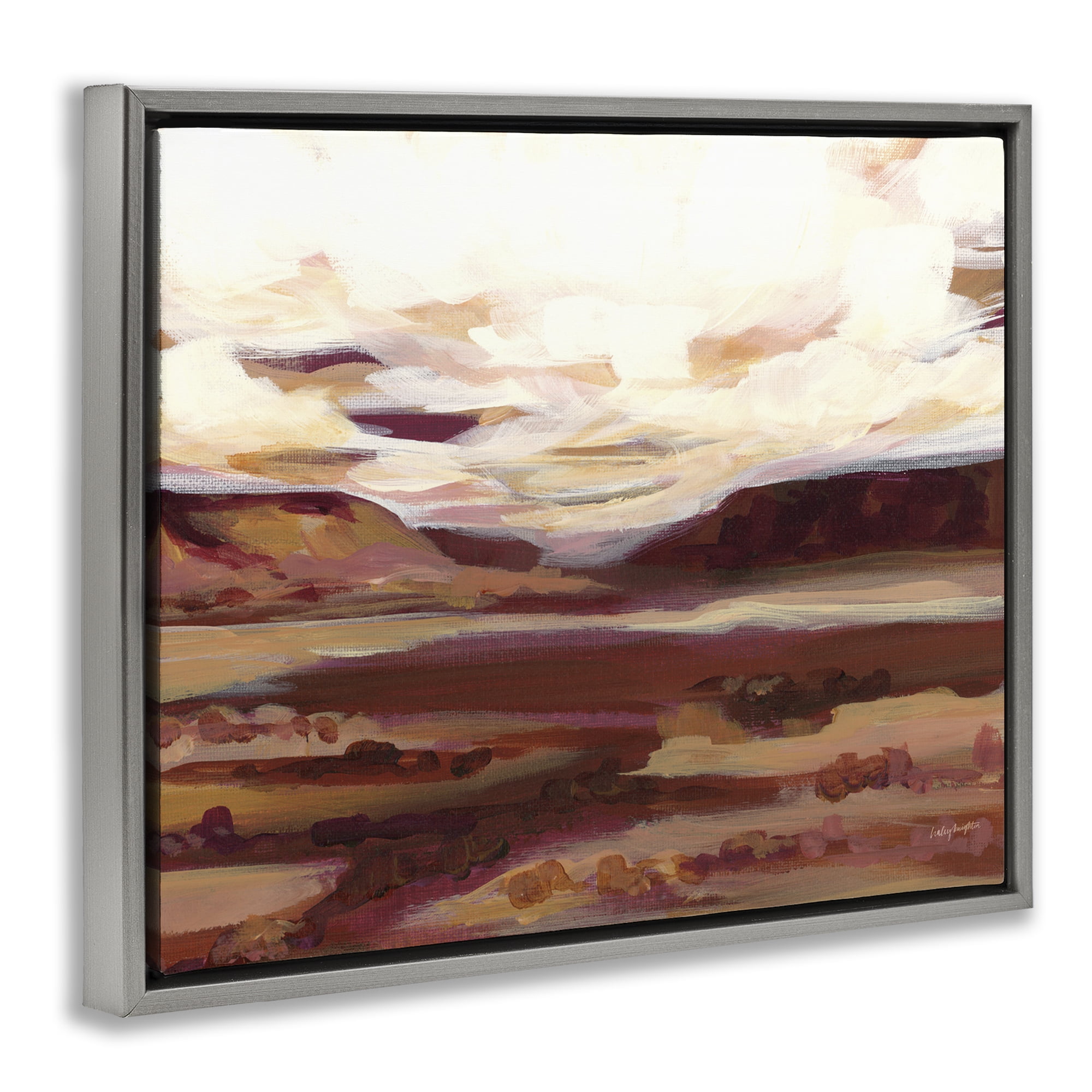 Stupell Industries Canyon Mesa Landscape Landscape Painting Gray Floater Framed Art Print Wall Art, 31 x 25