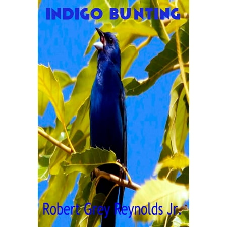- Indigo Bunting - eBook