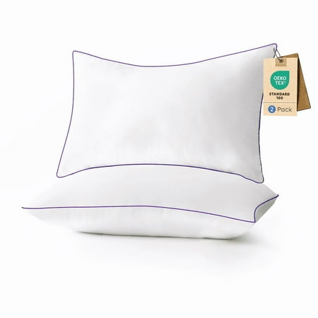 RILIHO Bed Pillows for Sleeping 2 Pack Standard Size,Pillows for Side and Back Sleepers,Super Soft Down Alternative Microfiber Filled Pillows,17 x 26 Inches