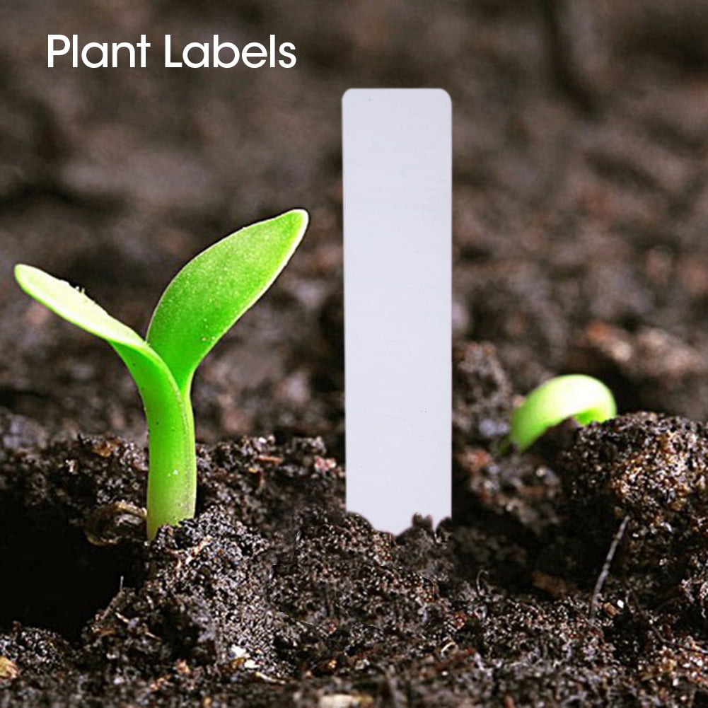 100Pcs Plastic Plant Stakes Markers Plant Labels Nursery Tags 4 "X 5" pot Garden 