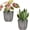 Gray, variant on 2 Pack Self Watering Pots, 5.7 Inch, with Drainage Holes, Gray | Plastic Garden Planter with Water Filling Port for Indoor