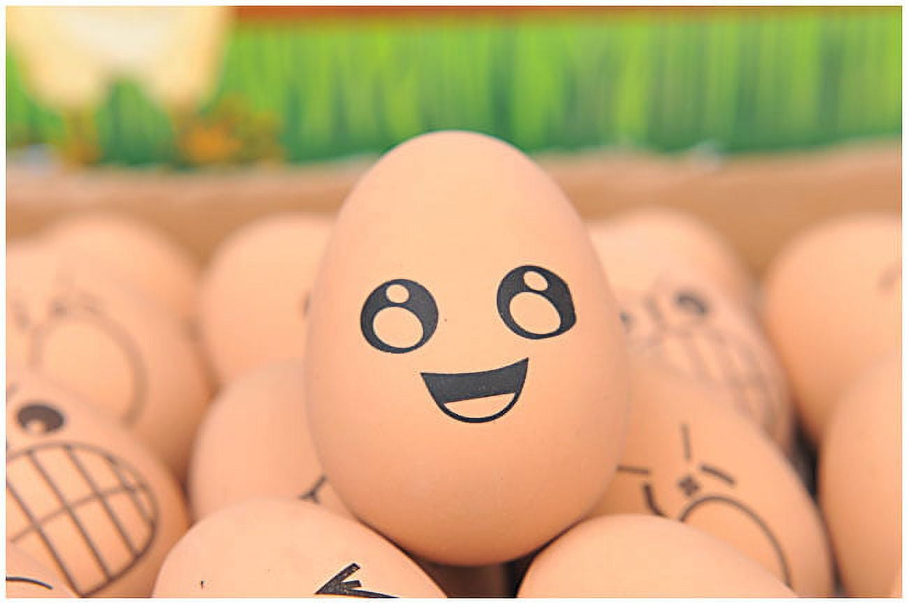 Emoji Easter Eggs Set of 24 fake rubber bouncing eggs W/ Variety of emoji faces .like a normal sized egg Great for party favors and pranks