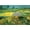 Unframed, variant on Art.com The Plains at Auvers Stretched Canvas Print Wall Art by Vincent van Gogh, 24" x 16"