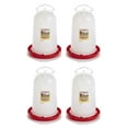 thumbnail image 1 of Little Giant 3-Gallon Heavy-Duty Plastic Gravity Fed Poultry Waterer (4 Pack), 1 of 7