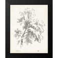 thumbnail image 2 of Unknown 12x14 Black Modern Framed Museum Art Print Titled - Ash Tree Study, 2 of 5