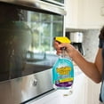 thumbnail image 2 of Invisible Glass 92194-6PK Premium Glass and Window Cleaner for Auto and Home Cleans Glass, Windows, Windshields, and More, Streak-Free, Ammonia-Free, Tint-Safe, 32 Fl Oz, Pack of 6, 2 of 6