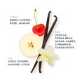thumbnail image 3 of Perfume ETLEÉ Apple & Cherry Eau de Parfum, 10 ml, para mujer y hombre, 3 of 8