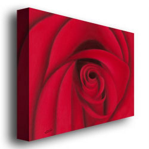 Rio 'Red Rose' Canvas Art