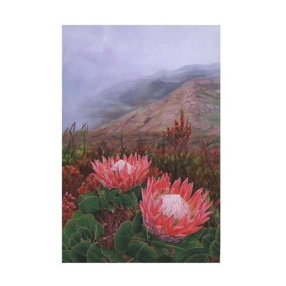 Canvas Wall Art - Delene Lambert 'In the Eye of the Beholder Proteas' Wall Art for Living Room, Bedroom, or Office Décor by Trademark Fine Art - 12 x 19 Inches