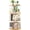 Natural Square, variant on 3-Tier Rotating Bookshelf, 360° Spinning Book Shelf Tower with Solid Wood & Clear Acrylic, Square Revolving Bookcase for Kids Room, Living Room, Bedroom and Office