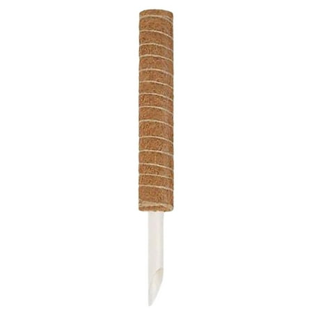 XINHUADSH Plant Support Pole No Deformation 1 Set Parterre Coconut Stake Long-Lasting Premium for Greening Projects