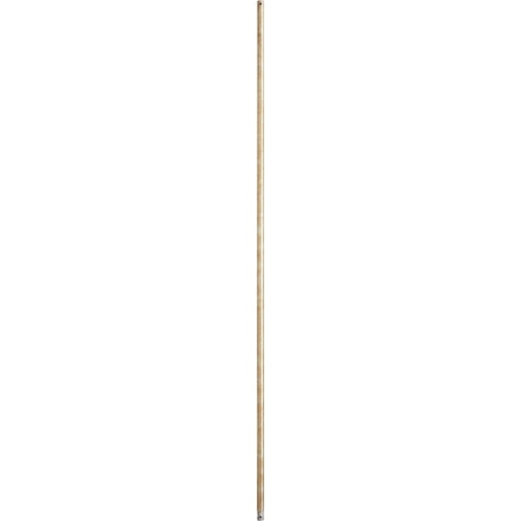 6-6060-Quorum Lighting-Ceiling Fan Downrod for Use with Quorum Brand Fans-60 Inch Down Rod Length-Aged Silver Leaf Finish
