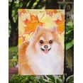 thumbnail image 3 of Carolines Treasures BB9977GF Drapeau d'Automne No.2 - Taille du Jardin, 3 of 3
