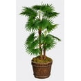 thumbnail image 1 of 56" Tall Fan Palm Tree Artificial Indoor/ Outdoor Décor Faux Burlap Kit and Fiberstone Planter By Minx NY, 1 of 4