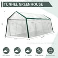 thumbnail image 3 of Meetleisure 10'W FT x 20'D FT x 8'H FT Outdoor PVC Greenhouse, White, 3 of 6
