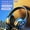 Black, variant on Bluetooth Headphones Over Ear with Breathing LED Light Foldable Wireless Stereo Headset Deep Bass Built In Mic Soft Earmuffs Supports Wired and Wireless Connection