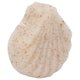 thumbnail image 5 of Esponja Facial de Konjac, Limpieza Exfoliante Exfoliante Cara Hojaldre Eliminación de Maquillaje reutilizable para niños para cuidado de la piel para adultos para viajes, 5 of 7