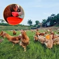 thumbnail image 3 of DIY 8 Pieces Poultry Waterer Kit Chicken Duck Goose Automatic Waterer New Type Poultry Drinking Bowl, 3 of 4