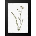 thumbnail image 2 of Pi Studio 11x14 Black Modern Framed Museum Art Print Titled - Little Flower I, 2 of 5