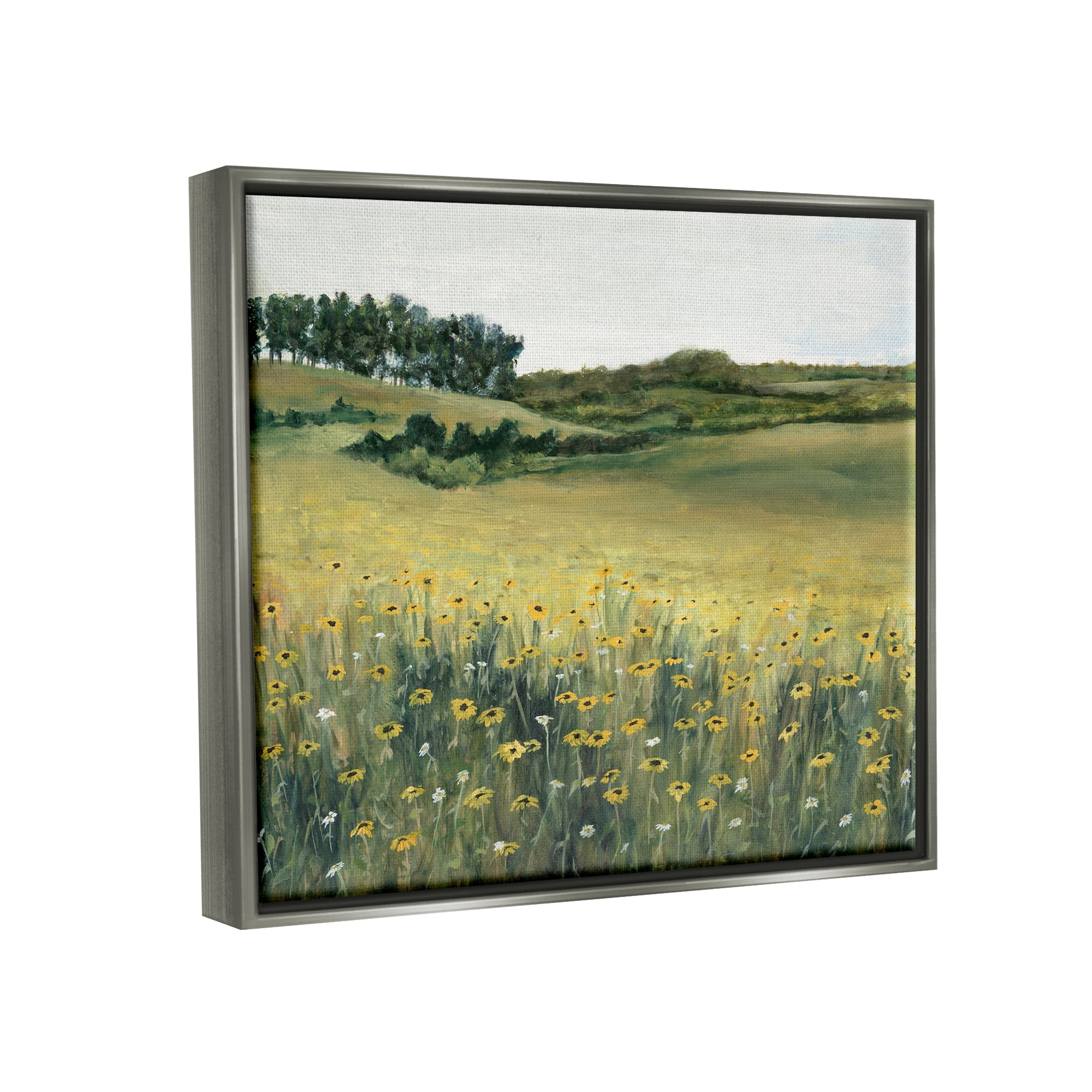Stupell Industries Rural Daisy Meadow Nature Painting Gray Floater Framed Art Print Wall Art, 31 x 25
