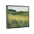 thumbnail image 3 of Stupell Industries Rural Daisy Meadow Nature Painting Gray Floater Framed Art Print Wall Art, 21 x 17, 3 of 9