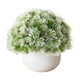 thumbnail image 2 of Artificial Plant Pot, Small Potted Decoration, Living Room Countertops Windowsills, Desktop Greenery, Home Decor, Artificial Plants for Home, Realistic Touch, Stylized Design, High Traffic Plants,, 2 of 8