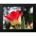 thumbnail image 2 of Bonin, Suzanne 24x19 Black Modern Framed Museum Art Print Titled - Happy One, 2 of 5