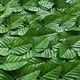 thumbnail image 3 of Pantalla de valla de privacidad artificial Faux Hedges (hojas de rábano verde de color claro) Wdftyju Libre de BPA, 3 of 4
