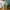 Green, variant on HongHeng Clearance Under $2.00 Desktop Trash Can Shakes Cover Living Room Cute Debris Bucket Car Home Desk Restaurant Storage Tube Trash Basket