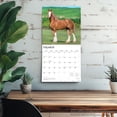 thumbnail image 5 of Clydesdales | 2026 12x24" (Hanging) Square Wall Calendar | Plastic-Free, 5 of 9