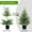 A, variant on Artificial Norfolk Pine Tree - Faux Christmas Tree Potted Green for Front Porch Christmas Indoor Outdoor Decor for Entryway, Living Room, Office, Apartment(2PC)