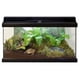 thumbnail image 5 of Sustrato de fibra de coco Zoo Med Eco Earth Reptiles, paquete de 3, 5 of 5